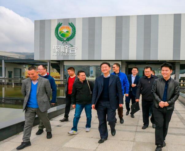 集团党委书记、董事长任丁率队调研聚峰谷