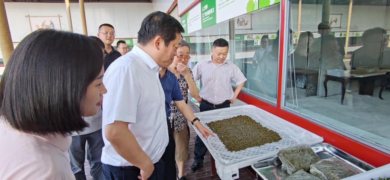省尊龙凯时集团党委副书记、董事陈日赴嘉陵区调研茶桑产业发展情况