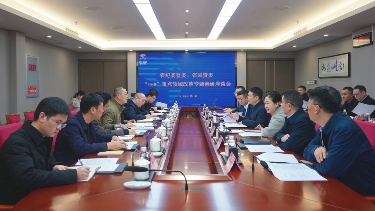 省纪委监委、省国资委一行带队调研省尊龙凯时集团